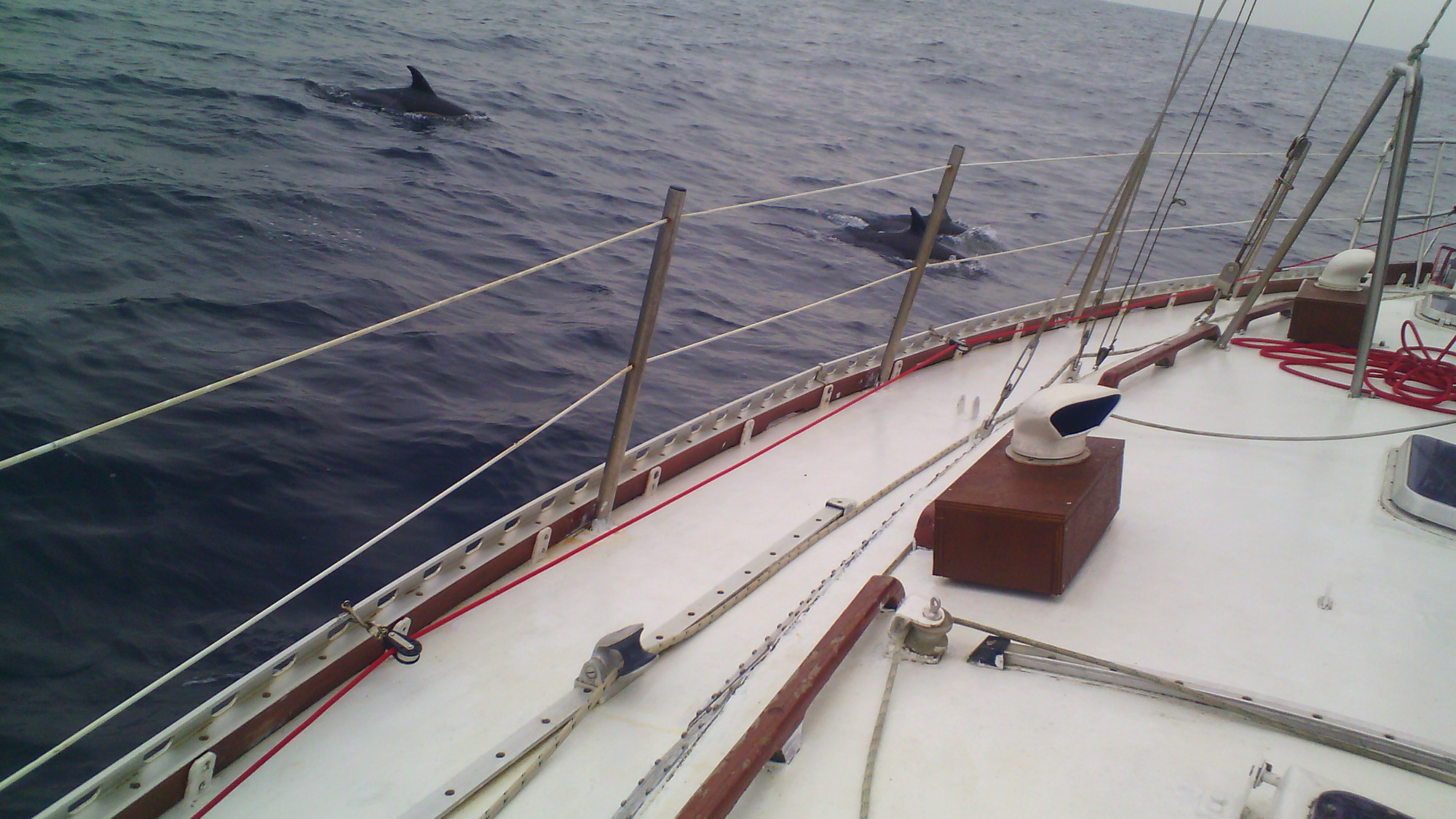 Passagers clandestins